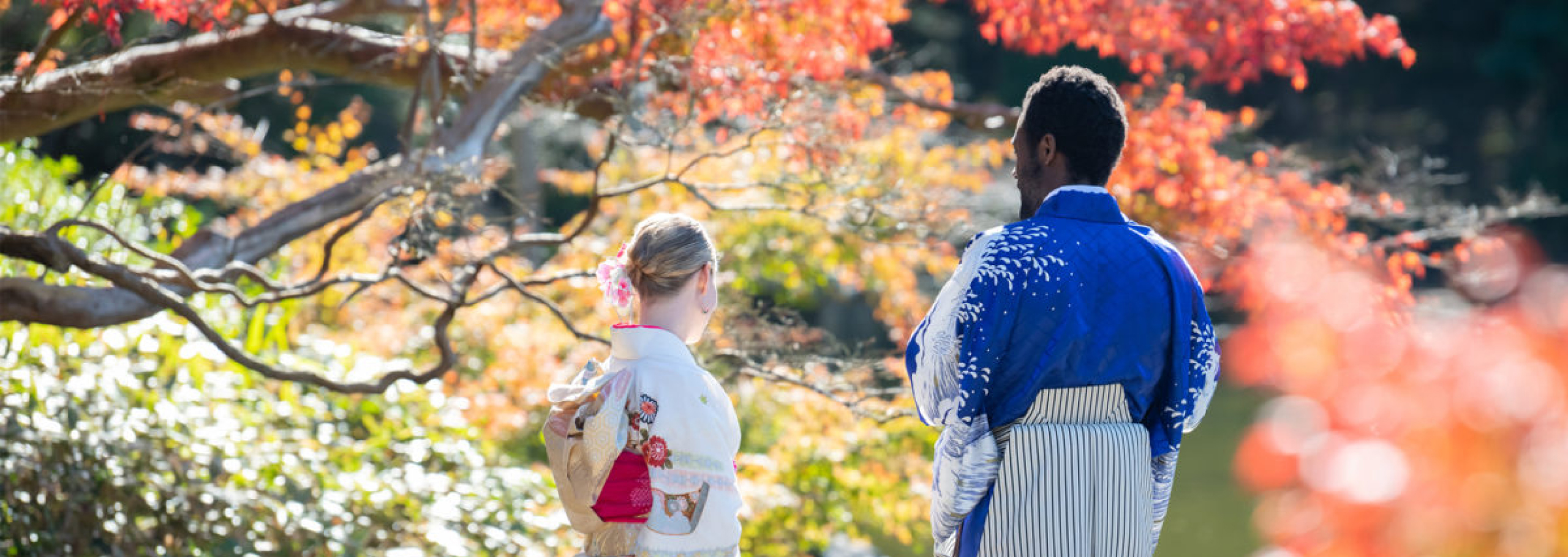 Visitors enjoying an autumn garden in kimono
