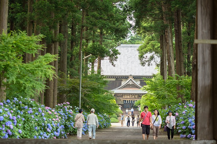 Nichihon-ji Temple